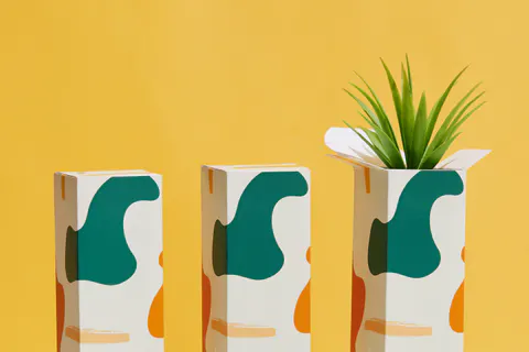 Three tall custom printed folding cartons, one with its tuck-end top open and a plant inside