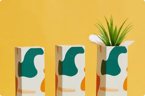 Custom boxes unboxing experience